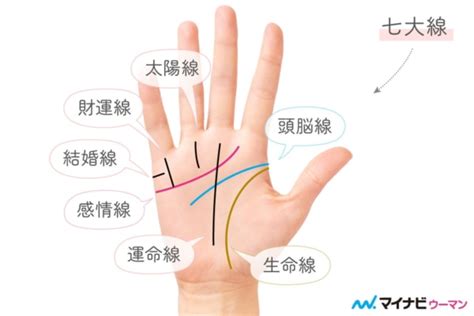 サイコパス 手相|手相の見方を徹底解説！ 右手と左手どっちを見る？ 7。